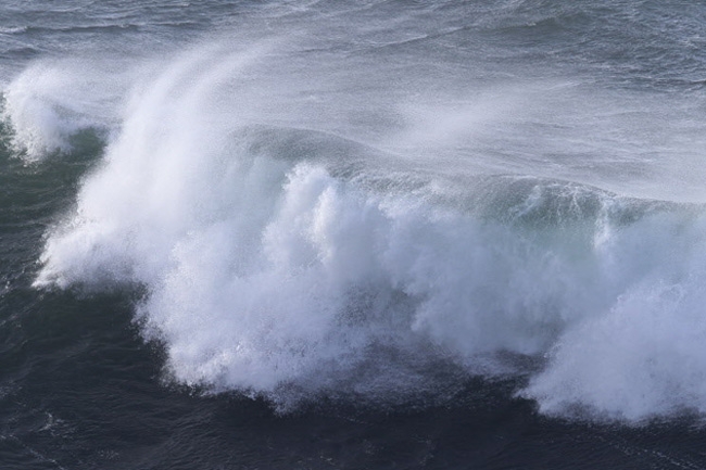 Lifeguard drowns trying to save Russian couple in Waskaduwa